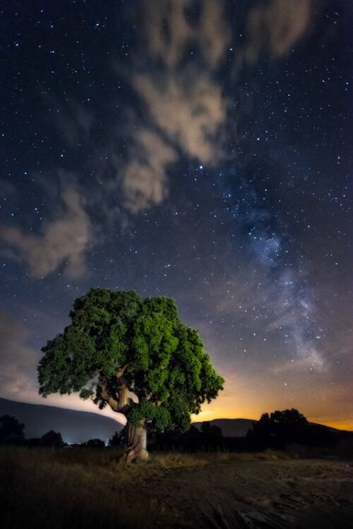 Fotografía nocturna. La encina y la vía