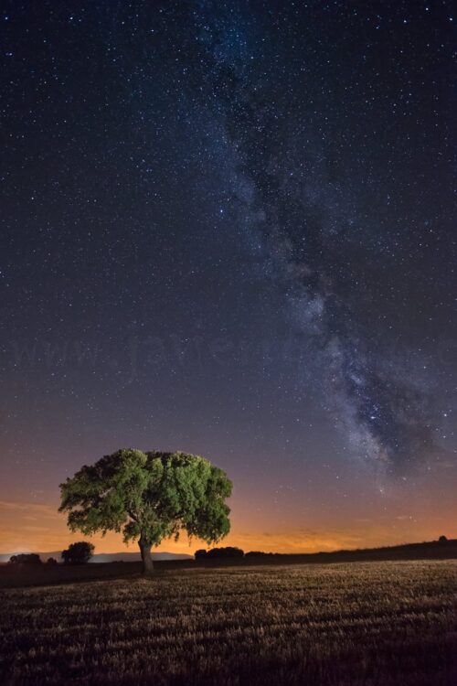 Fotografía nocturna. La encina y la vía (II)