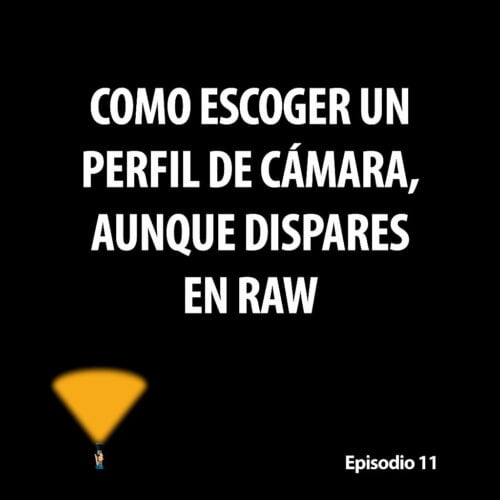 Episodio 11. Aportando luz